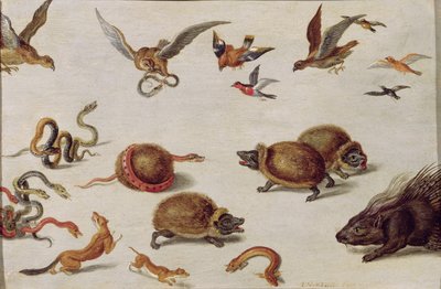 The Enemies of Snakes by Jan van Kessel the Elder